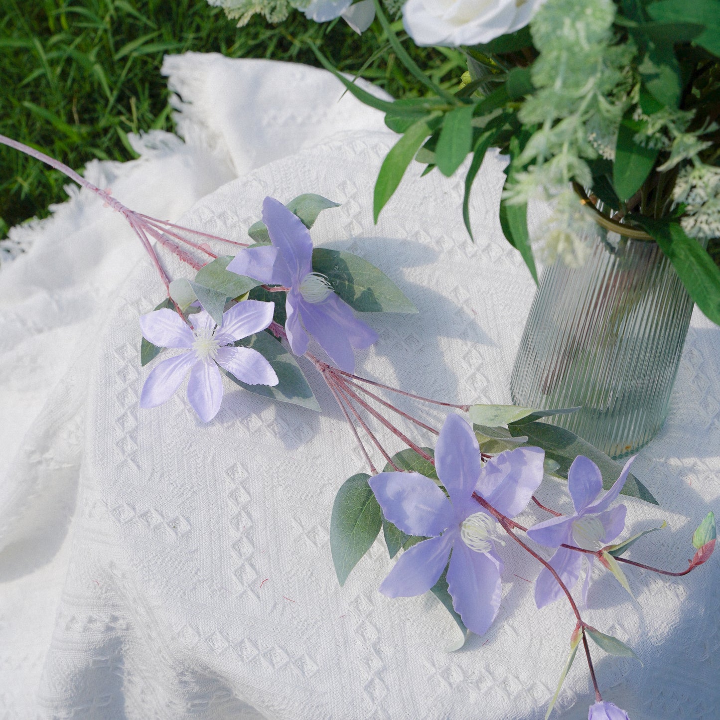 Spider Lily - Light Purple 铁线莲淡紫