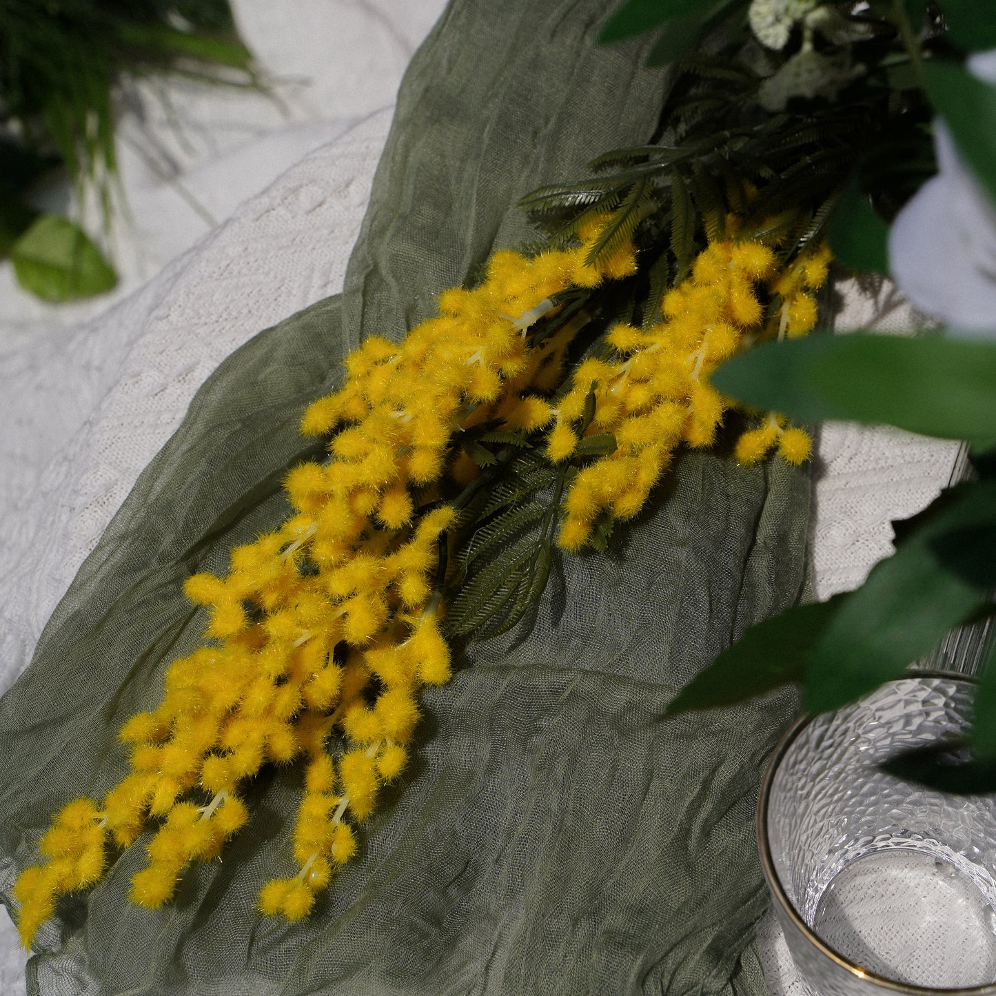 3-Fork Acacia - Yellow 3叉金合欢-黄色