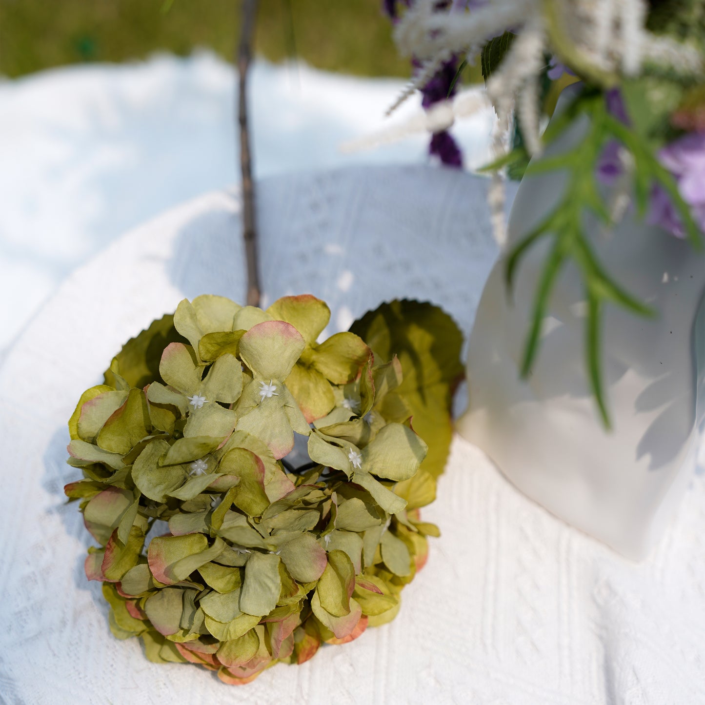 Hydrangea - Green绣球-绿色
