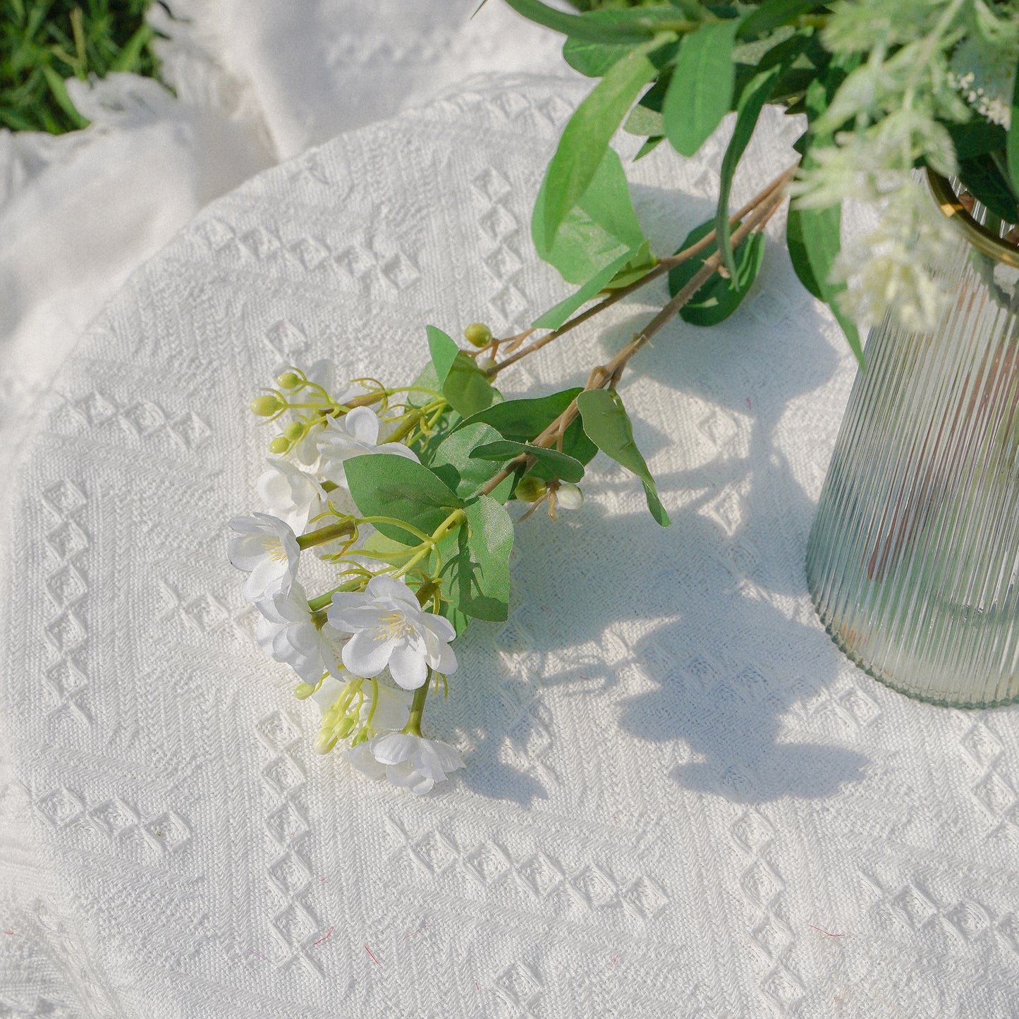 Jasmine - White 茉莉花 - 白色
