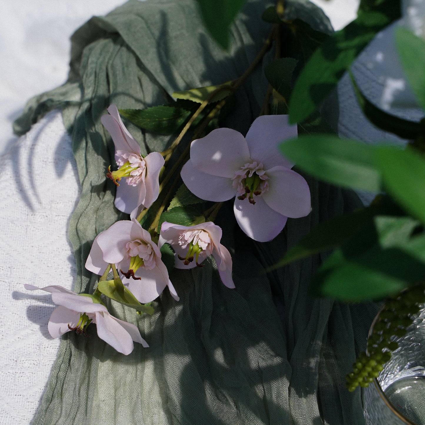 5-Head Christmas Matthiola - Light Pink 5头圣诞玫菟葵-淡粉色