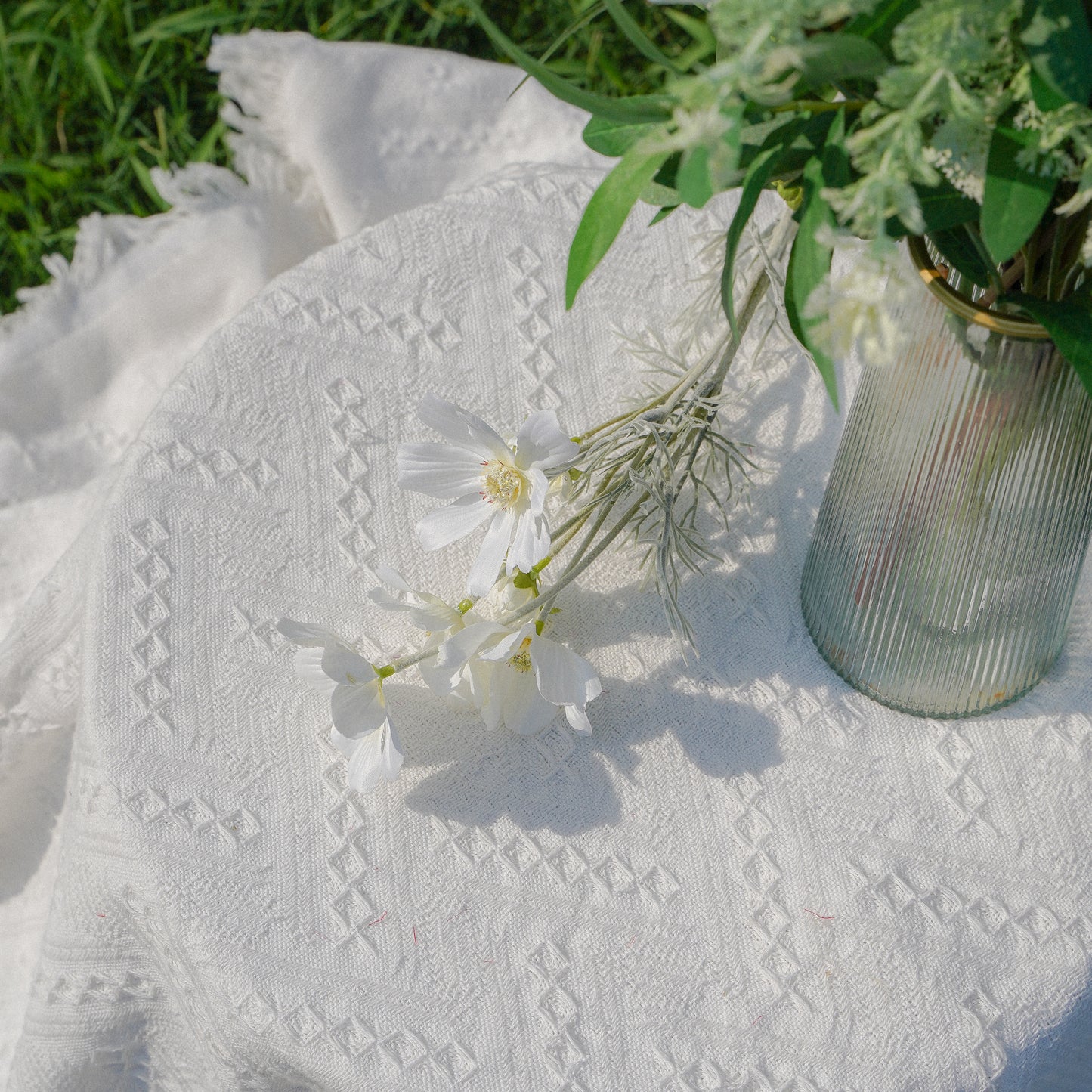 Daisy Chrysanthemum - White 格桑菊白
