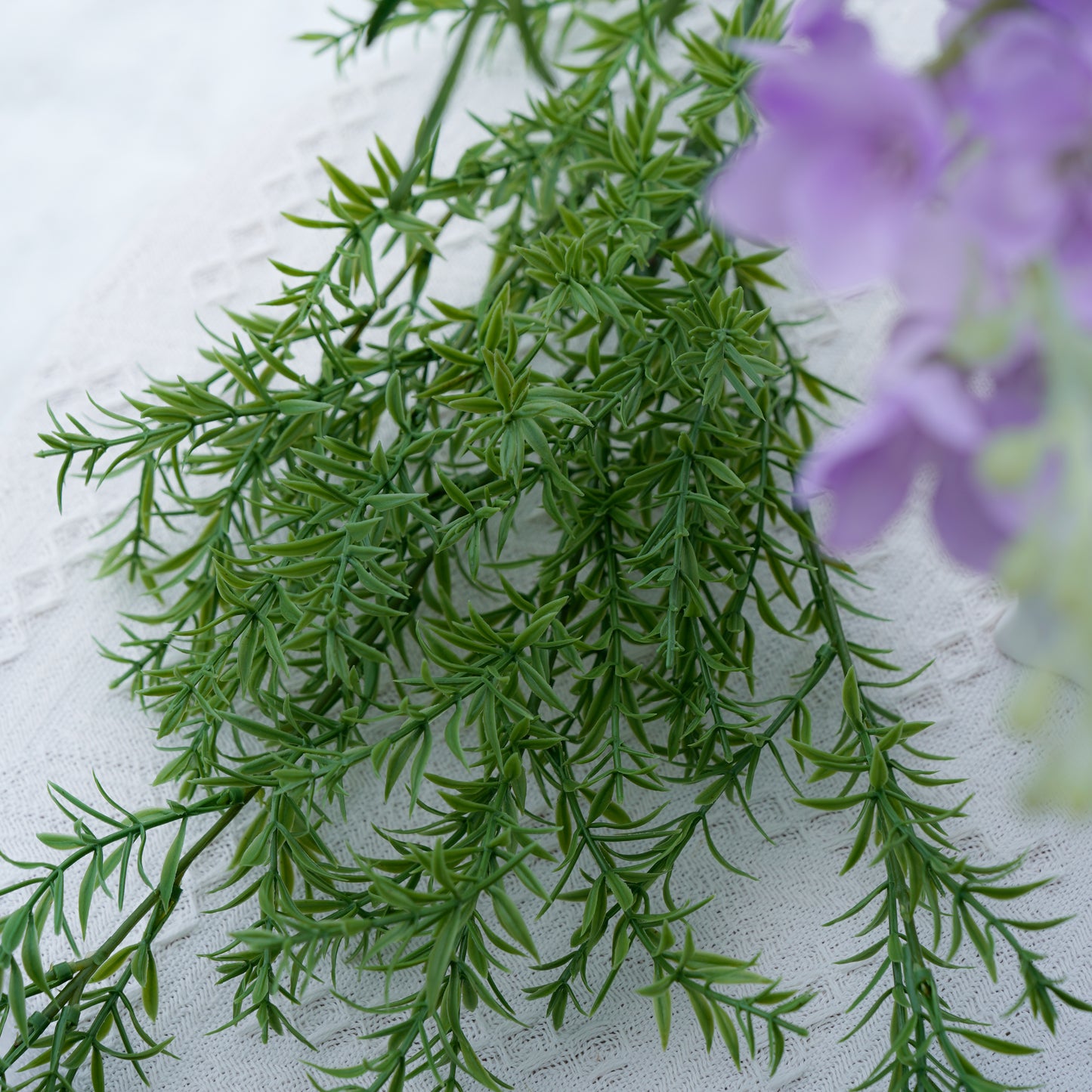 Five-branch Onion Grass - Green五叉葱油草-绿