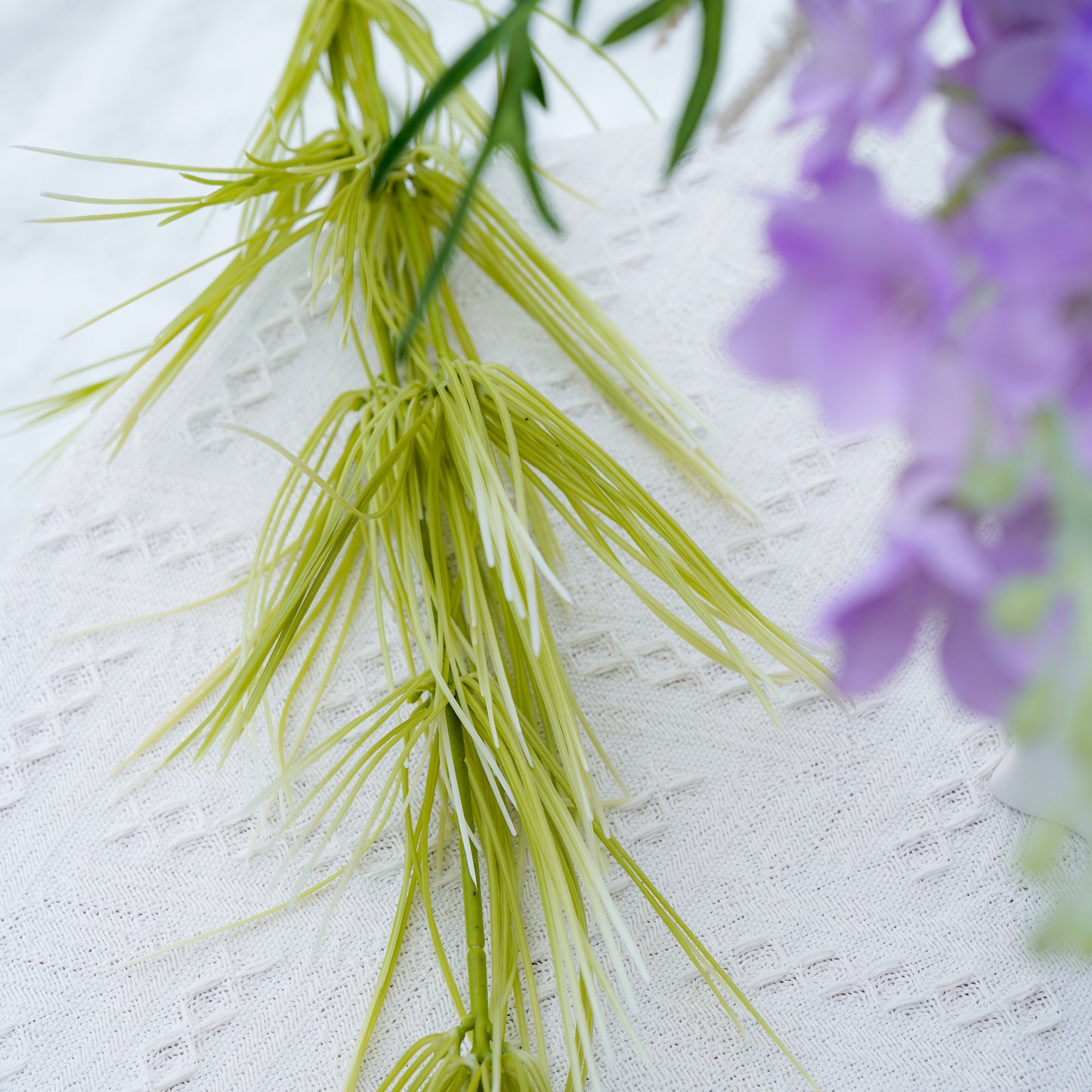 Bamboo Fountain Grass - Green竹峰草-绿