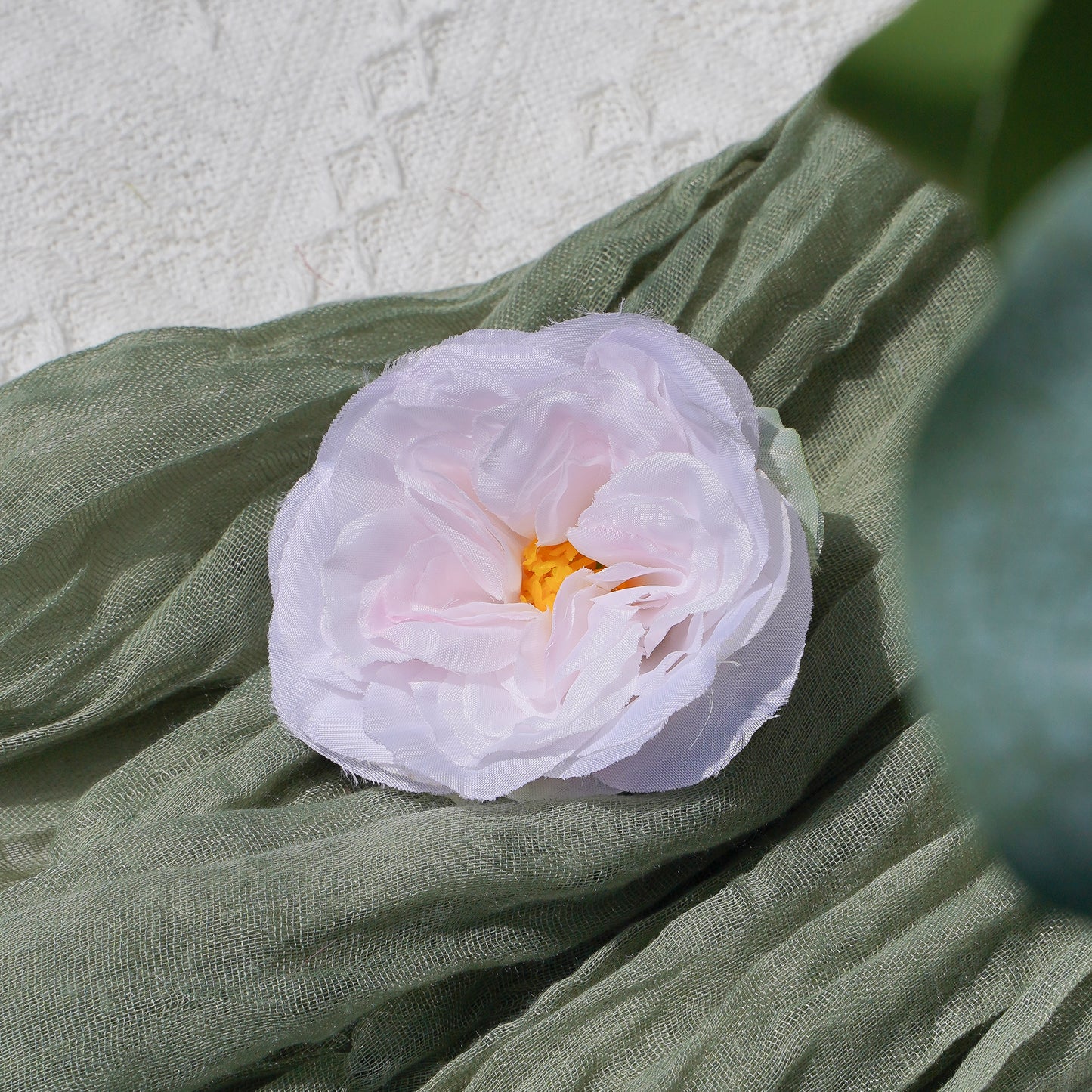 Camellia - Light Pink山茶花-淡粉