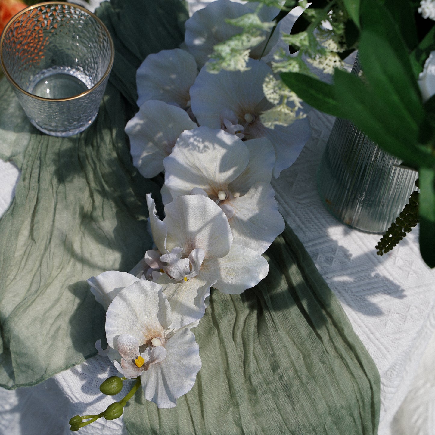 9-Head Butterfly Orchid - Light Green 9头蝴蝶兰 -浅绿色