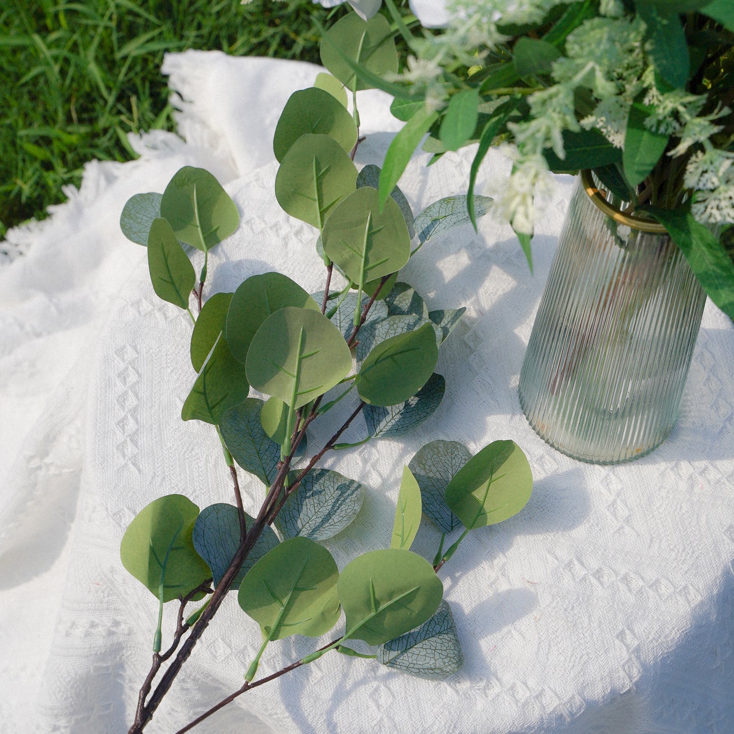 5-Leaf Eucalyptus - Grey-Green 5尤加利灰绿