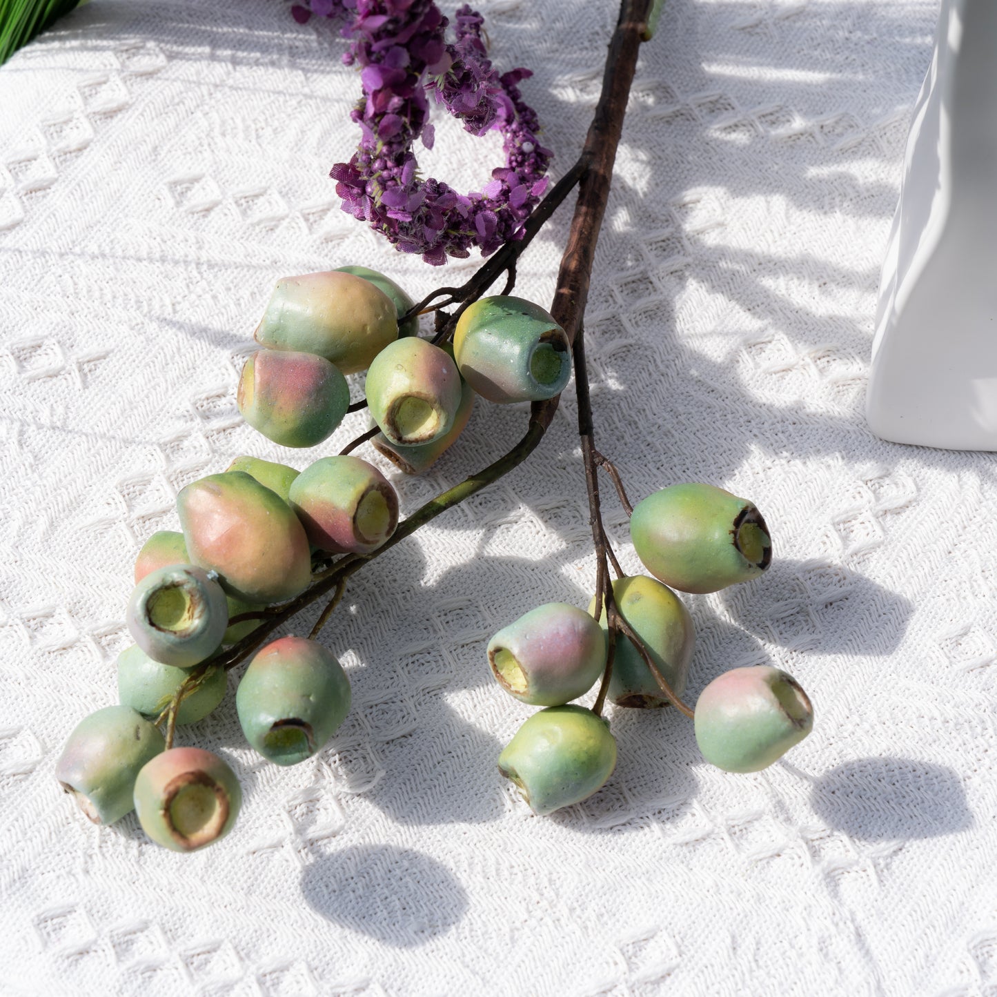 Eucalyptus Fruit - Green桉树果-绿