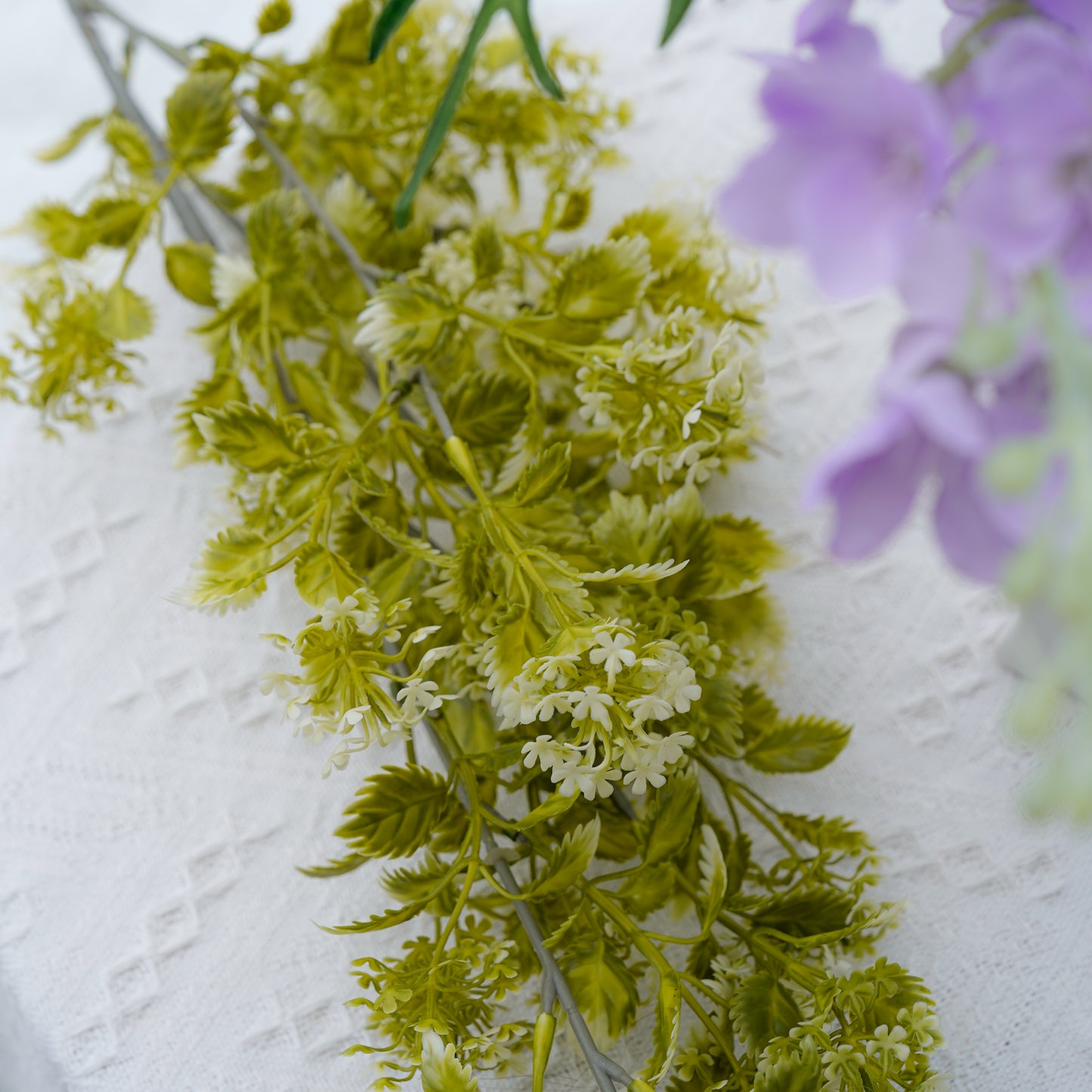 Five-branch Wild Hydrangea - Green五叉野绣球-绿