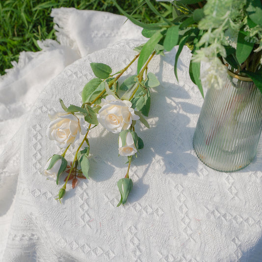 Single Stem 2-Fork Multi-Head Dreamy Rose - Autumn White 单枝2叉多头梦幻玫瑰 _秋白