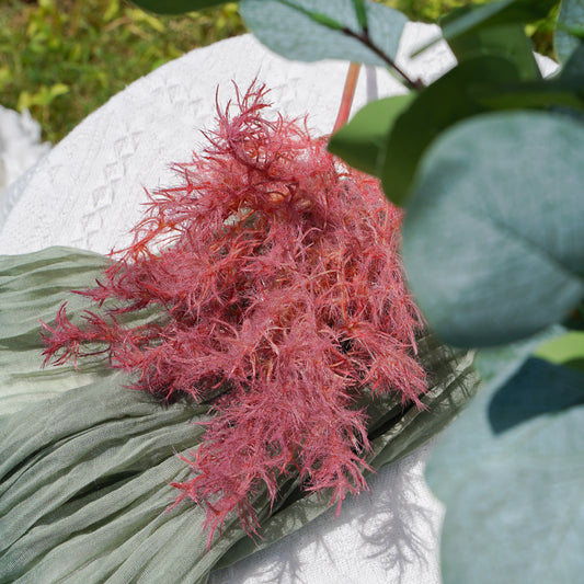 Yellow Wax - Purple-Red 黄栌 -紫红色