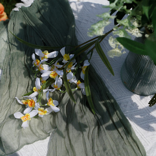 Mini Phalaenopsis - White 繁星小蝶兰-白色