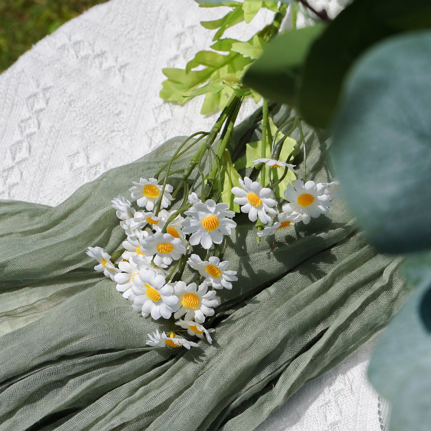 30-Headed Daisy - White 30头洋甘菊-白
