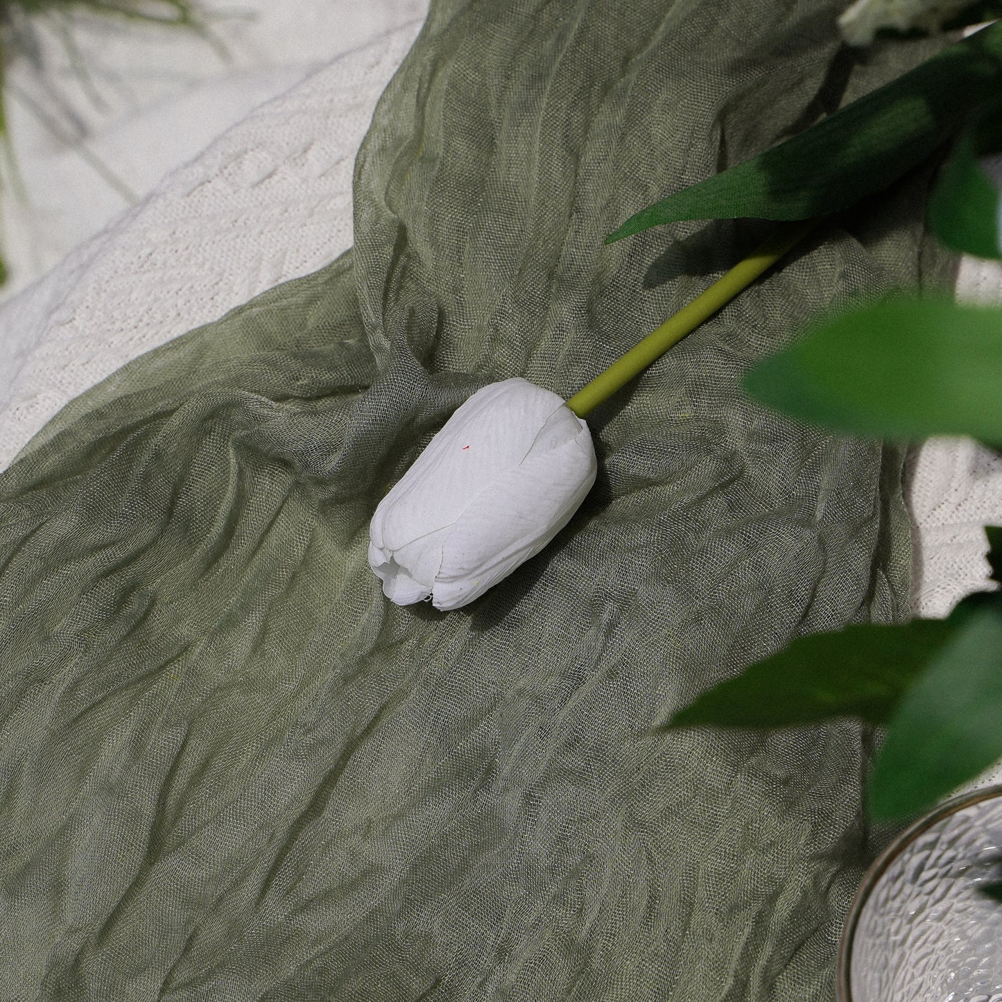 Tulip - White 郁金香- 白