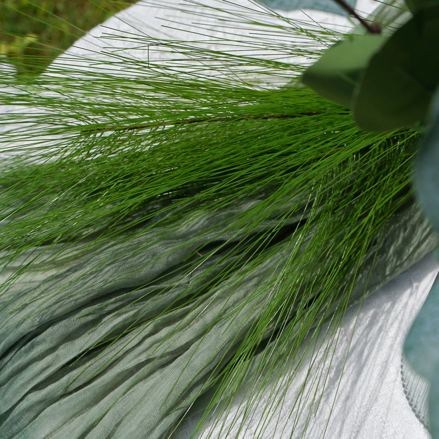 3 stems of Chinese Hemlock Spruce - Green3头华山松- 绿色