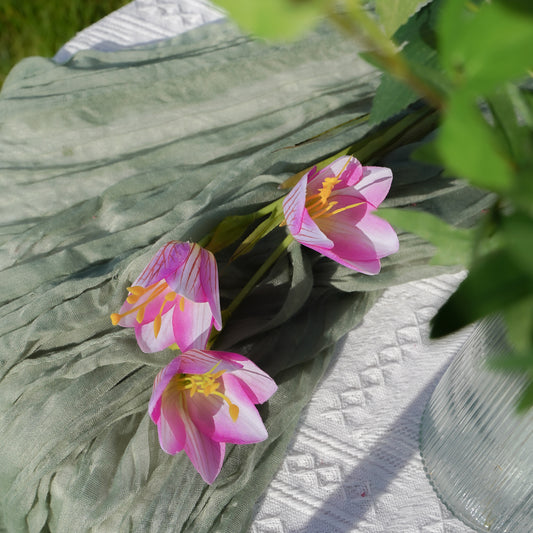 3-Headed Lilyturf - Purple-Red 3头贝母-紫红