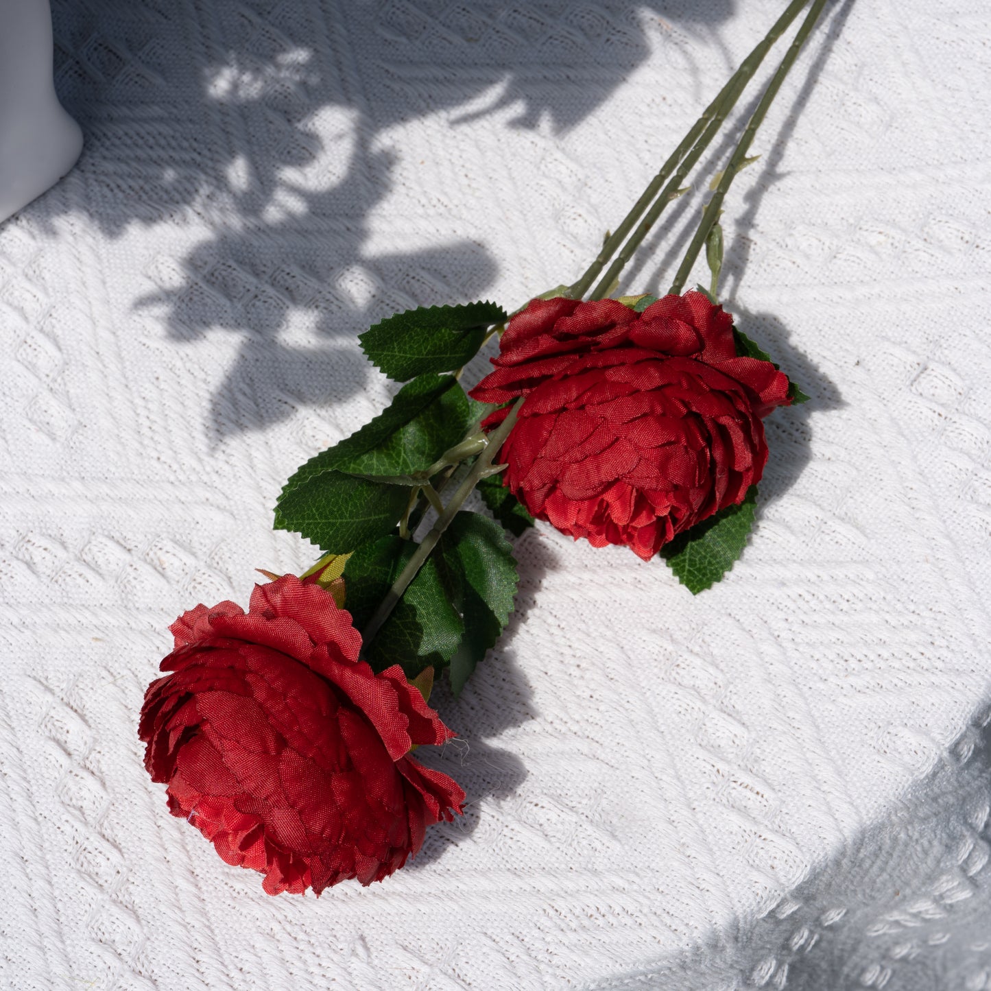 3 Red Peonies3头洋牡丹-红色