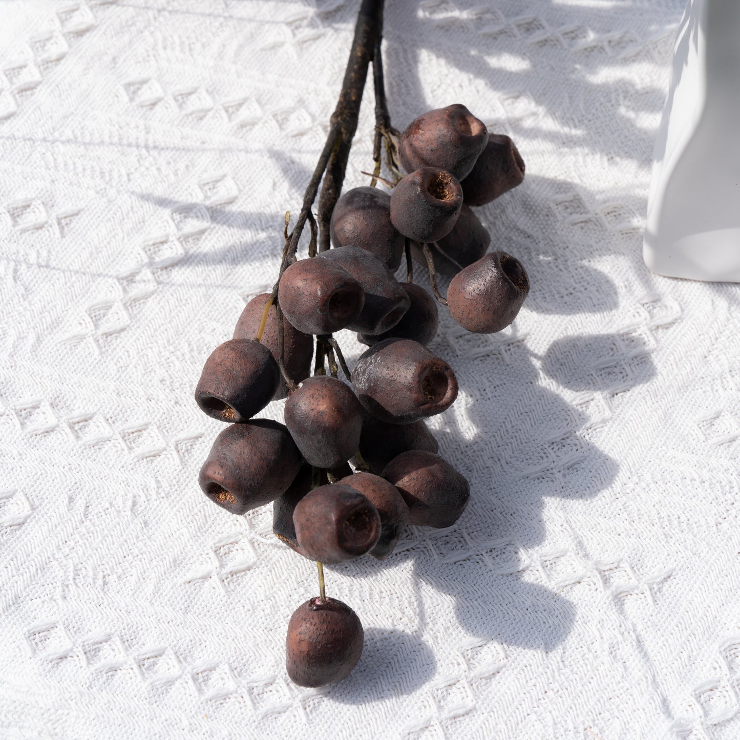 Eucalyptus Fruit - Brown桉树果-咖