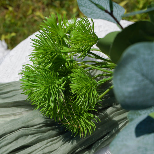 Solomon's Seal - Green天门冬-绿