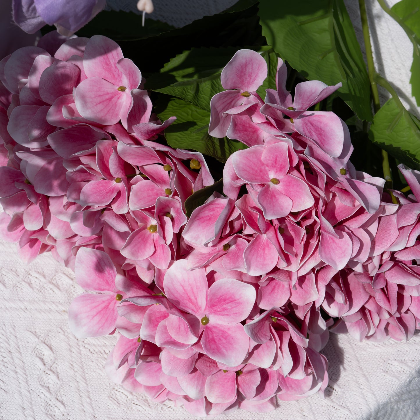 5 Pink Hydrangea Bouquet5头绣球把束-玫红