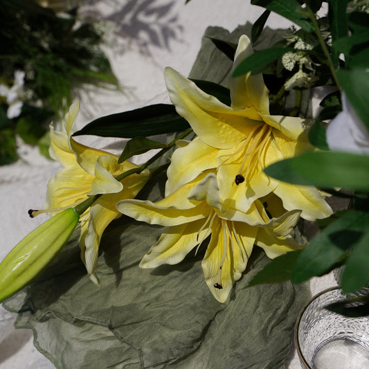 5-Head Lily - Yellow 5头百合-黄色