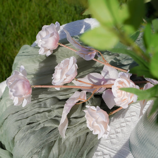 5-Headed Perfect Roses - Champagne 5头百佳玫瑰-香槟