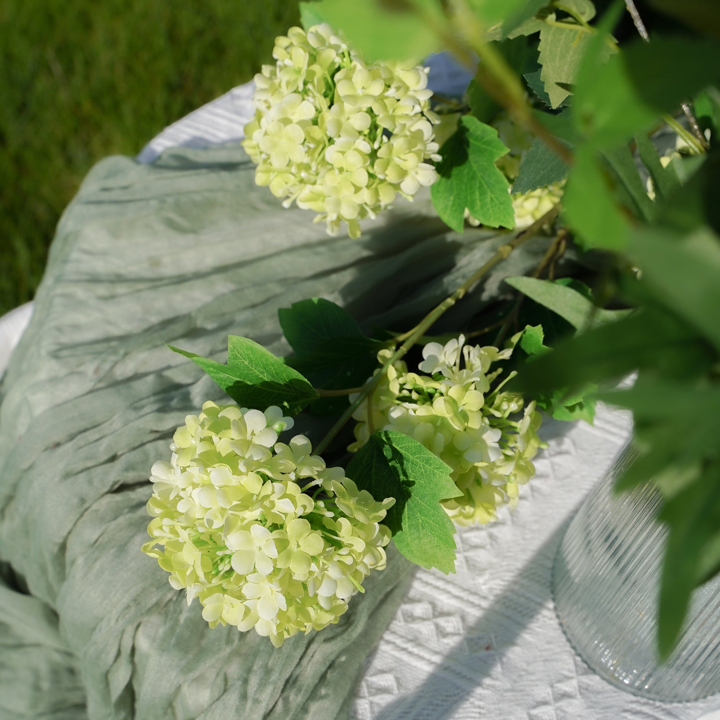 5-Head Hydrangea - Green 5头木绣球-绿色