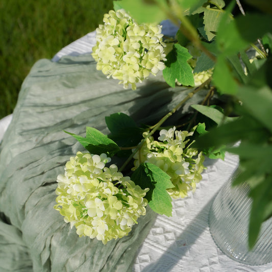 5-Head Hydrangea - Green 5头木绣球-绿色