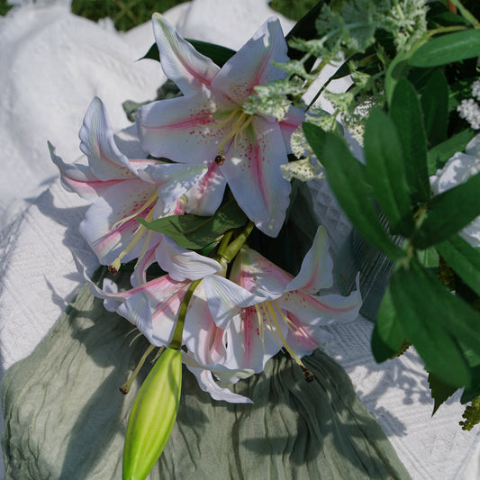 5-Head Lily - Light Pink 5头百合-浅粉色