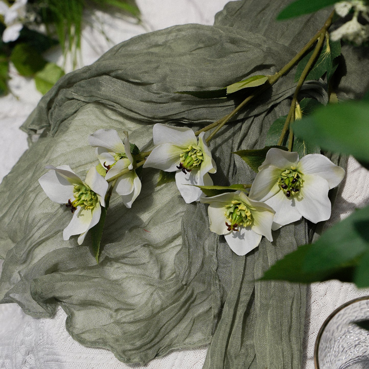5-Head Christmas Matthiola - White Green 5头圣诞玫菟葵-白绿色