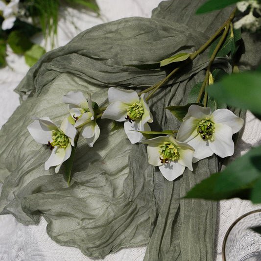 5-Head Christmas Matthiola - White Green 5头圣诞玫菟葵-白绿色