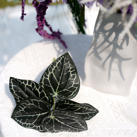 5-head Veined Fan Root - Green5头网纹矾根-绿