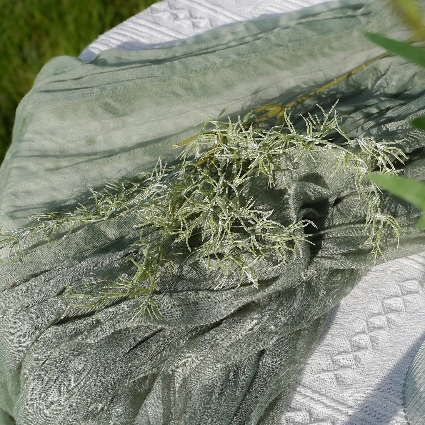 Rosemary Herb - White-Green 迷迭香草-白绿