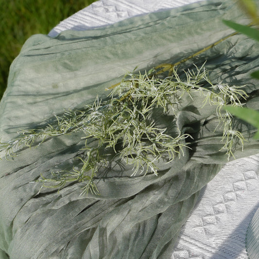 Rosemary Herb - White-Green 迷迭香草-白绿