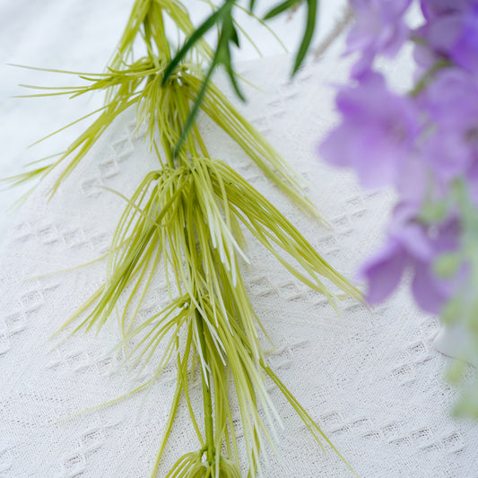 Bamboo Fountain Grass - Green竹峰草-绿