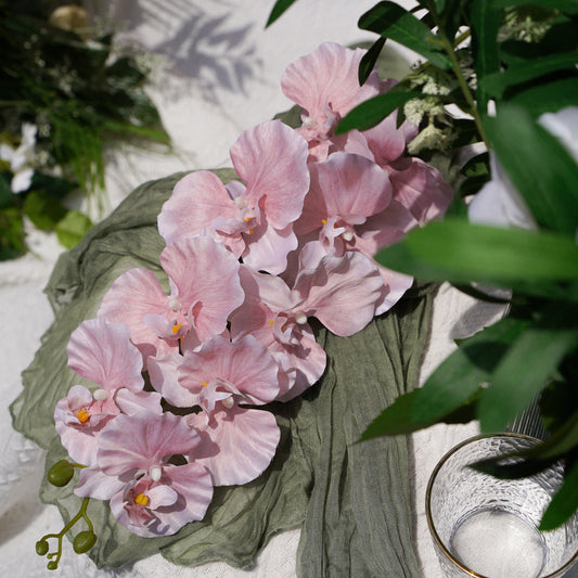 9-Head Butterfly Orchid - Pink 9头蝴蝶兰 -粉色