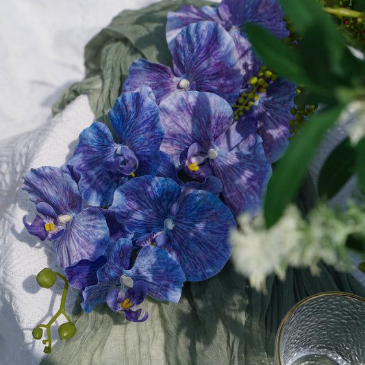 9-Head Butterfly Orchid - Blue 9头蝴蝶兰 -蓝色