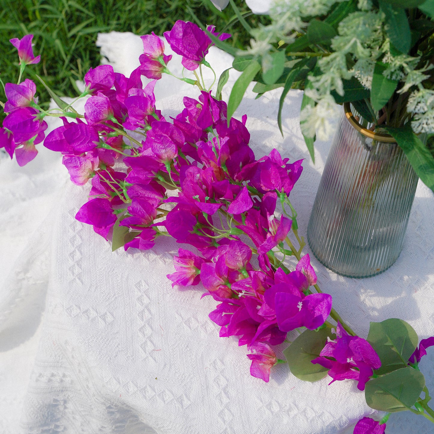 Bougainvillea - Purple-Blue 三角梅