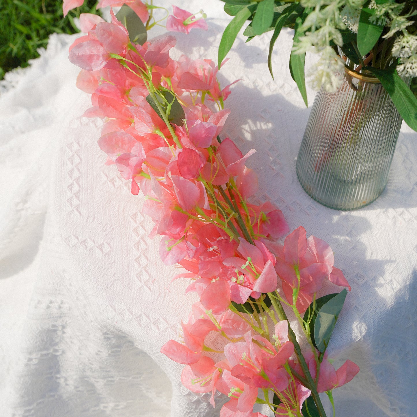 Bougainvillea - Flesh Pink 三角梅