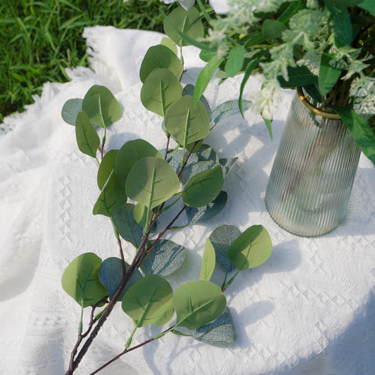 5-Leaf Eucalyptus - Grey-Green 5尤加利灰绿