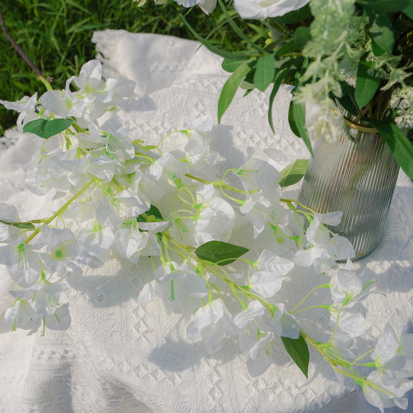 Middle branch white bougainvillea