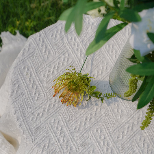 Pincushion Chrysanthemum - Green 针垫菊-绿色