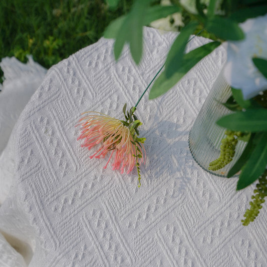 Pincushion Chrysanthemum - Pink 针垫菊-粉色