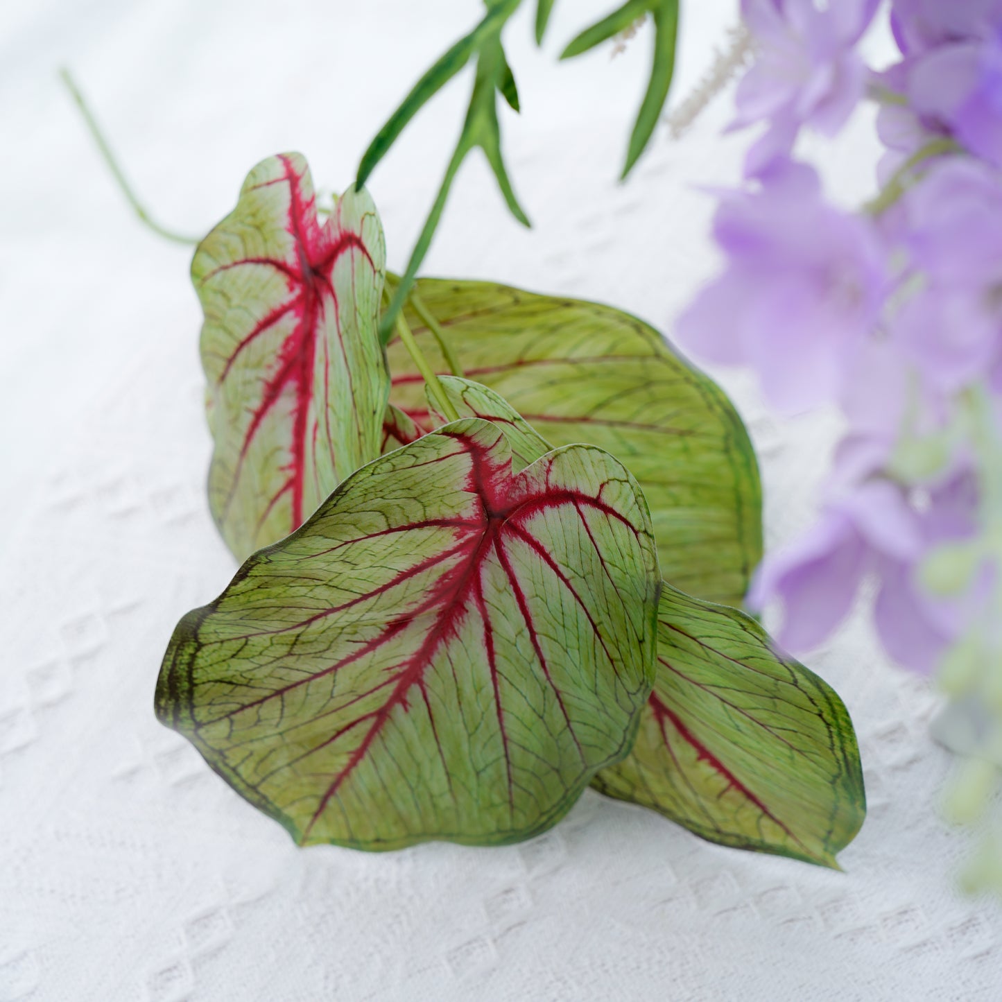 Four-branch Calla Lily Leaf - Green四叉海芋叶-绿