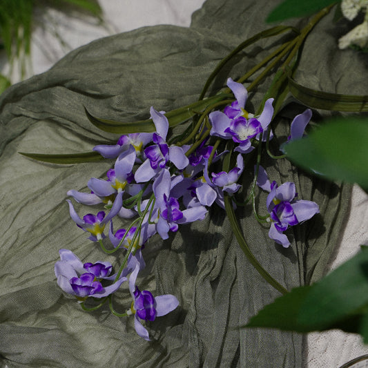 Mini Phalaenopsis - Purple 繁星小蝶兰-紫色