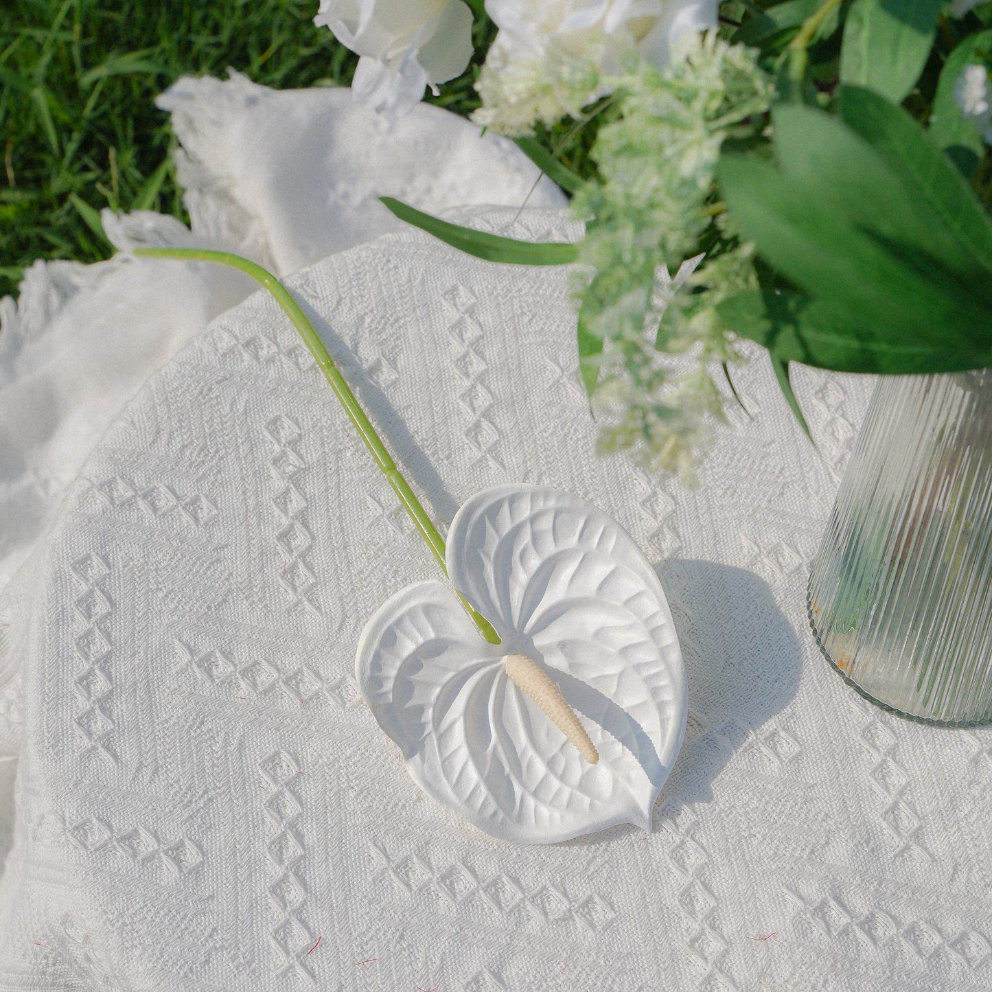 Peace Lily 白掌
