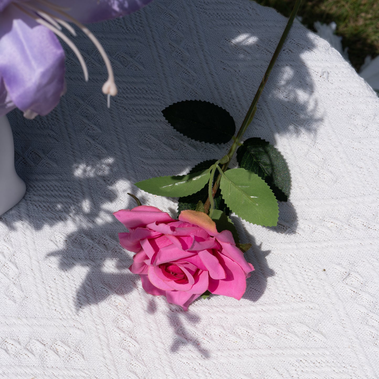 Single Pink Rose单支玫瑰-玫红