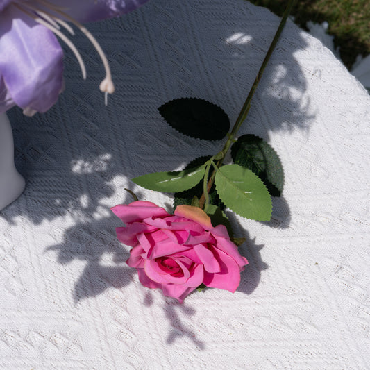 Single Pink Rose单支玫瑰-玫红