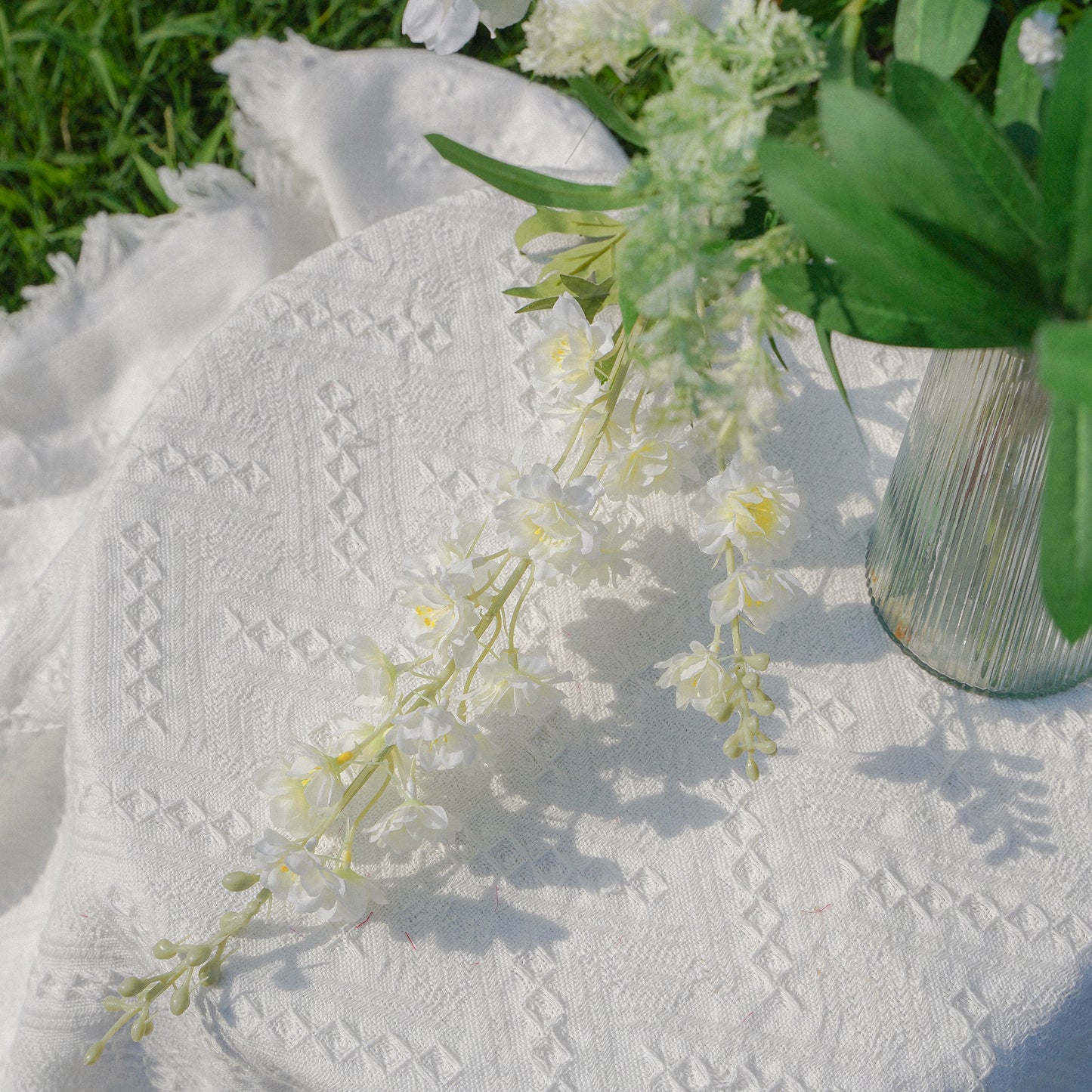 Swallow Iris - Cream White 飞燕米白色