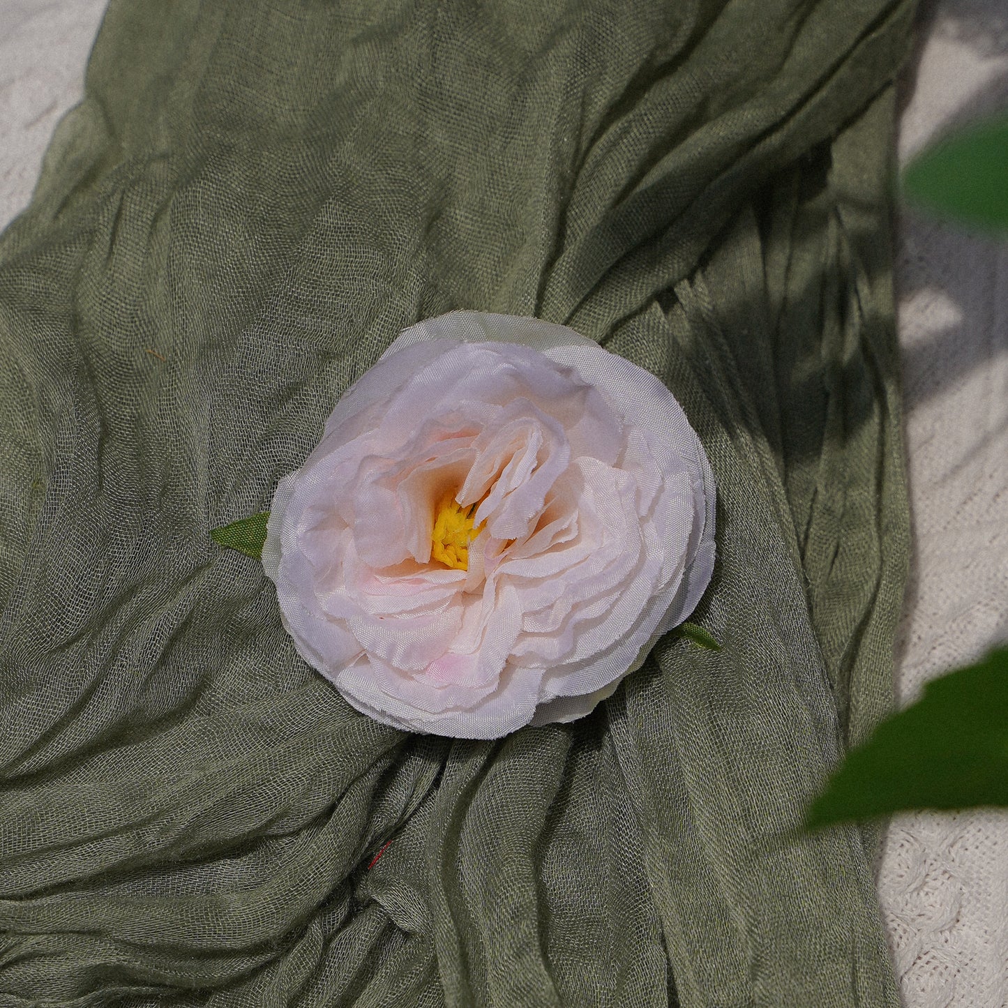 Camellia - Flesh Pink 山茶花-肉粉